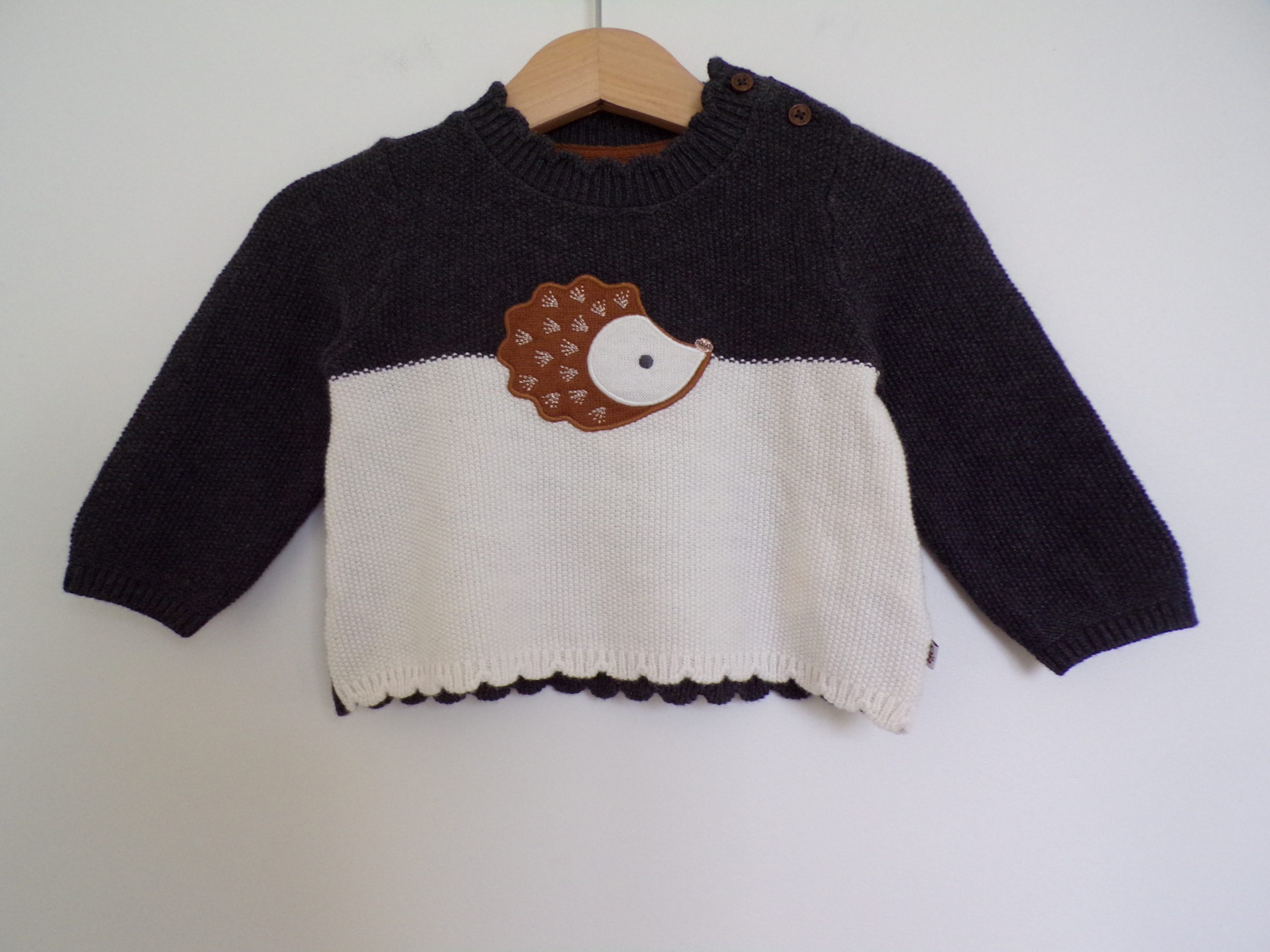 KODAK Digital Still Camera