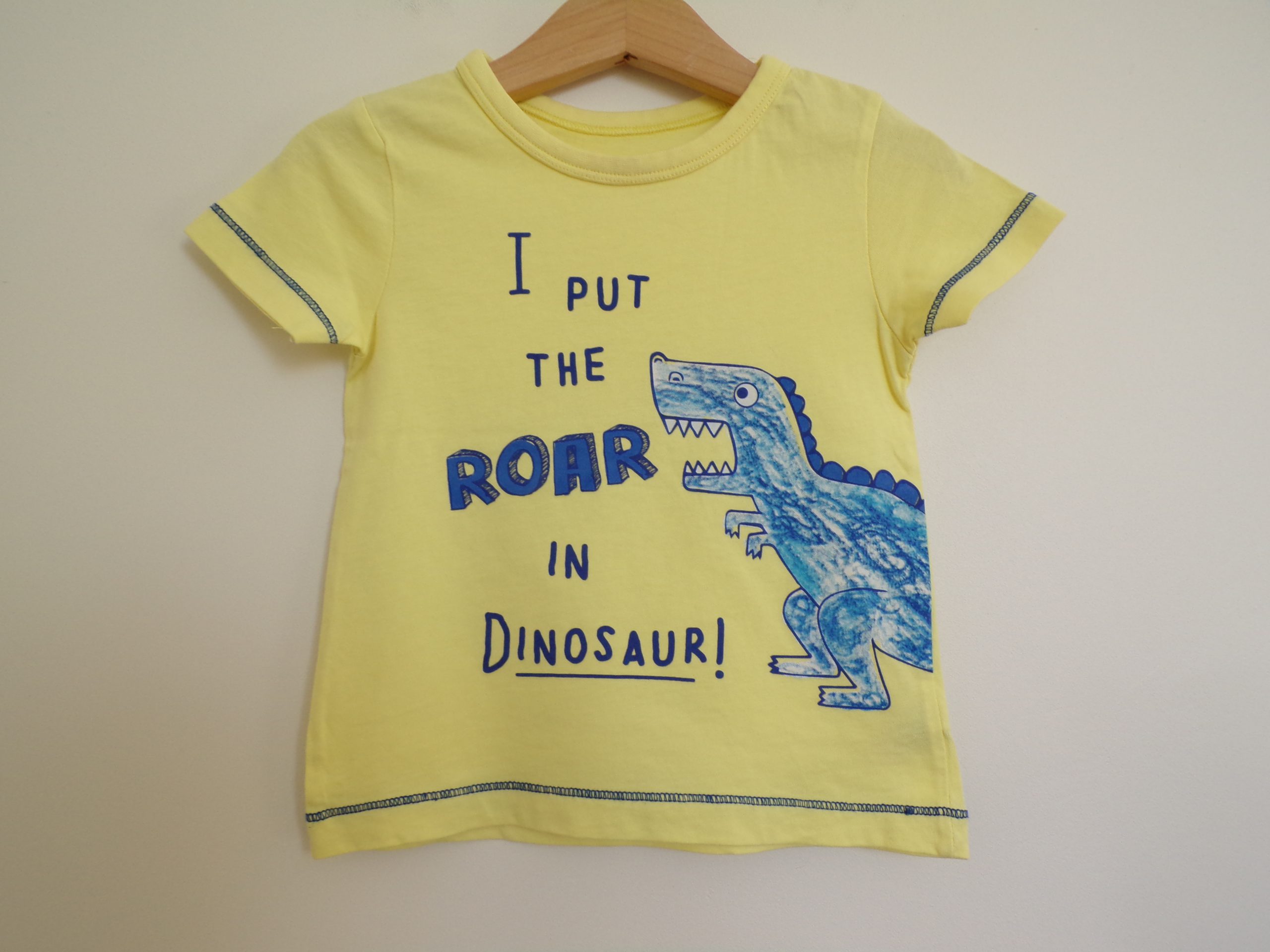 KODAK Digital Still Camera