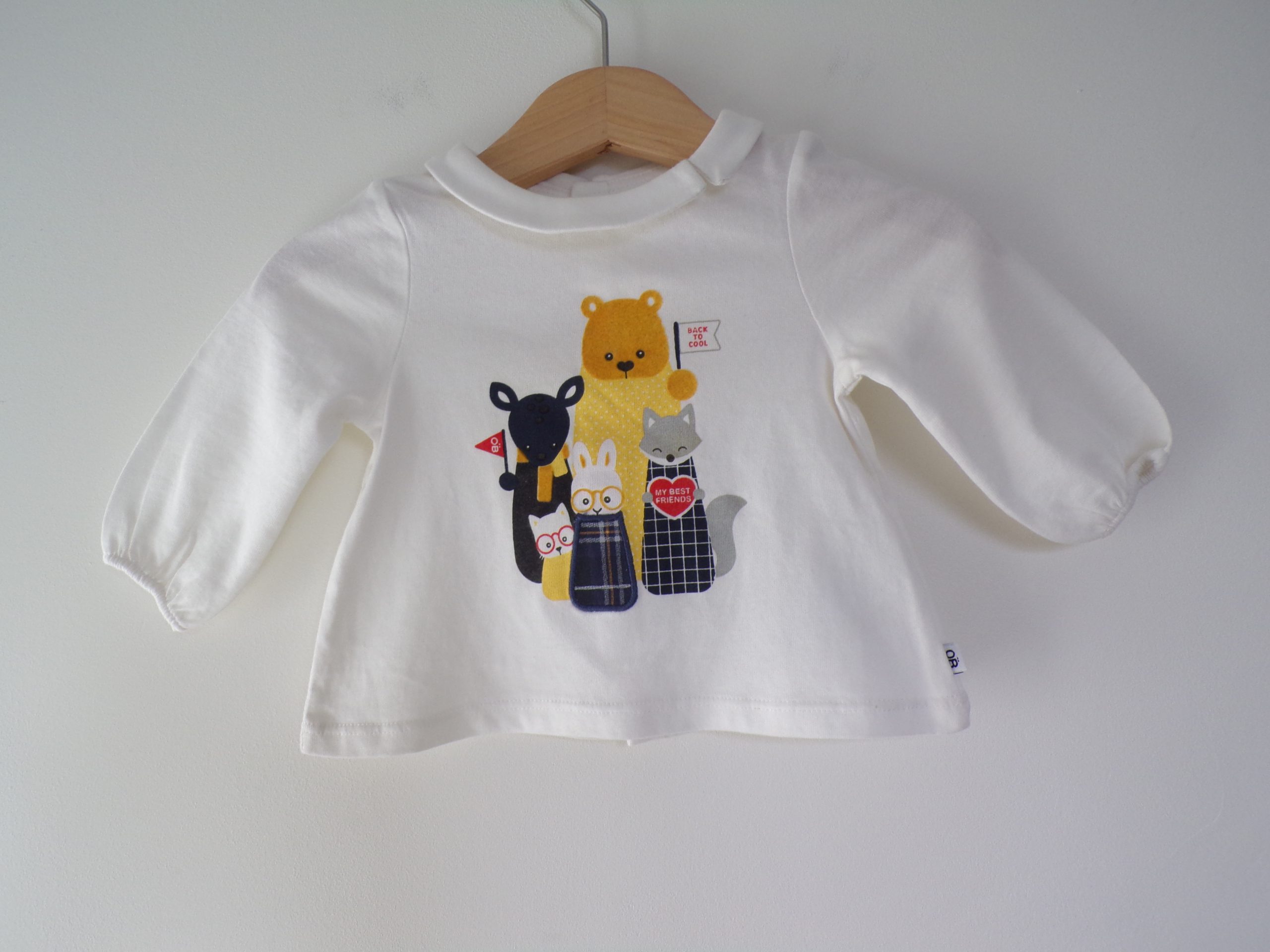 KODAK Digital Still Camera