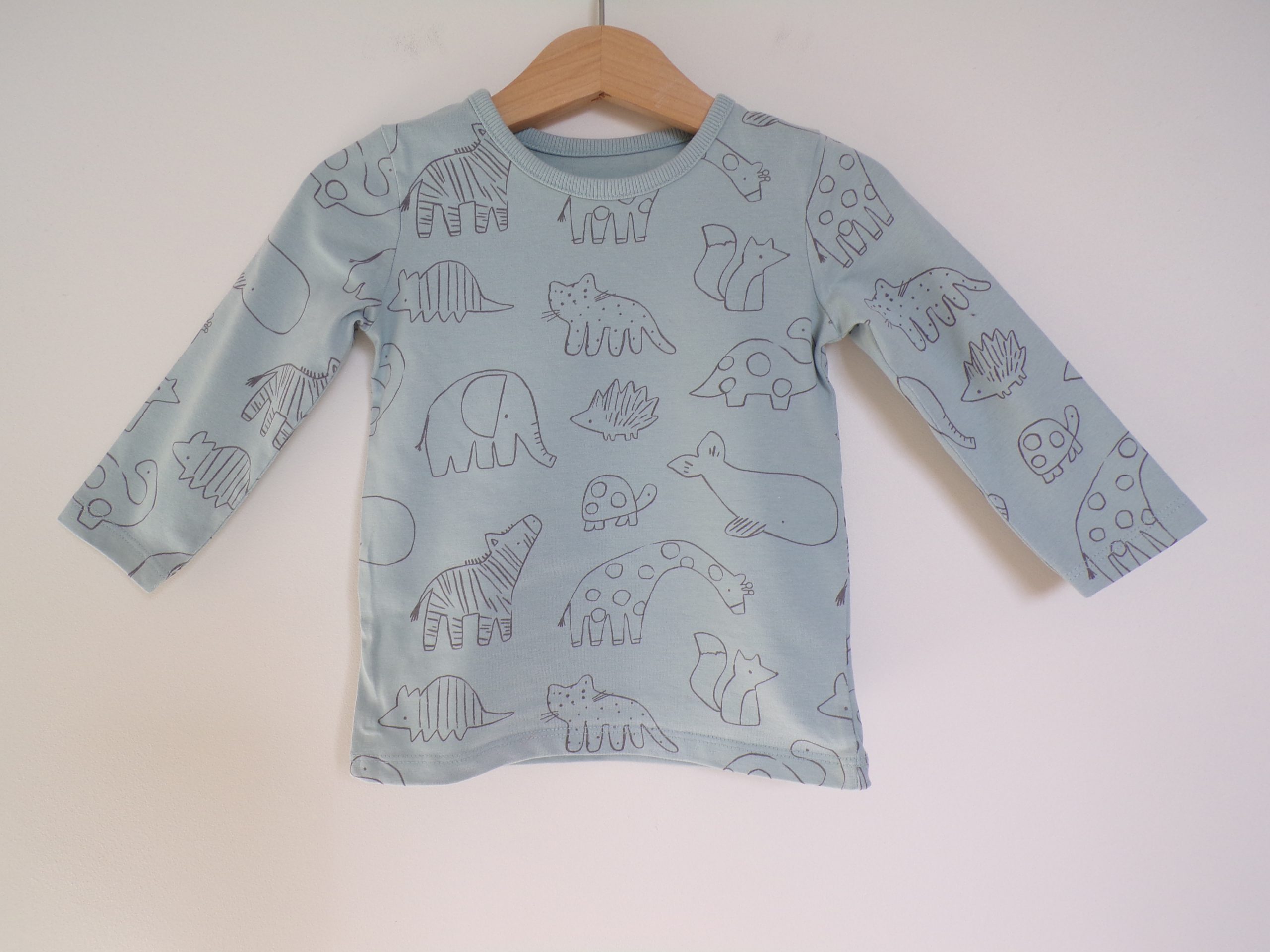 KODAK Digital Still Camera