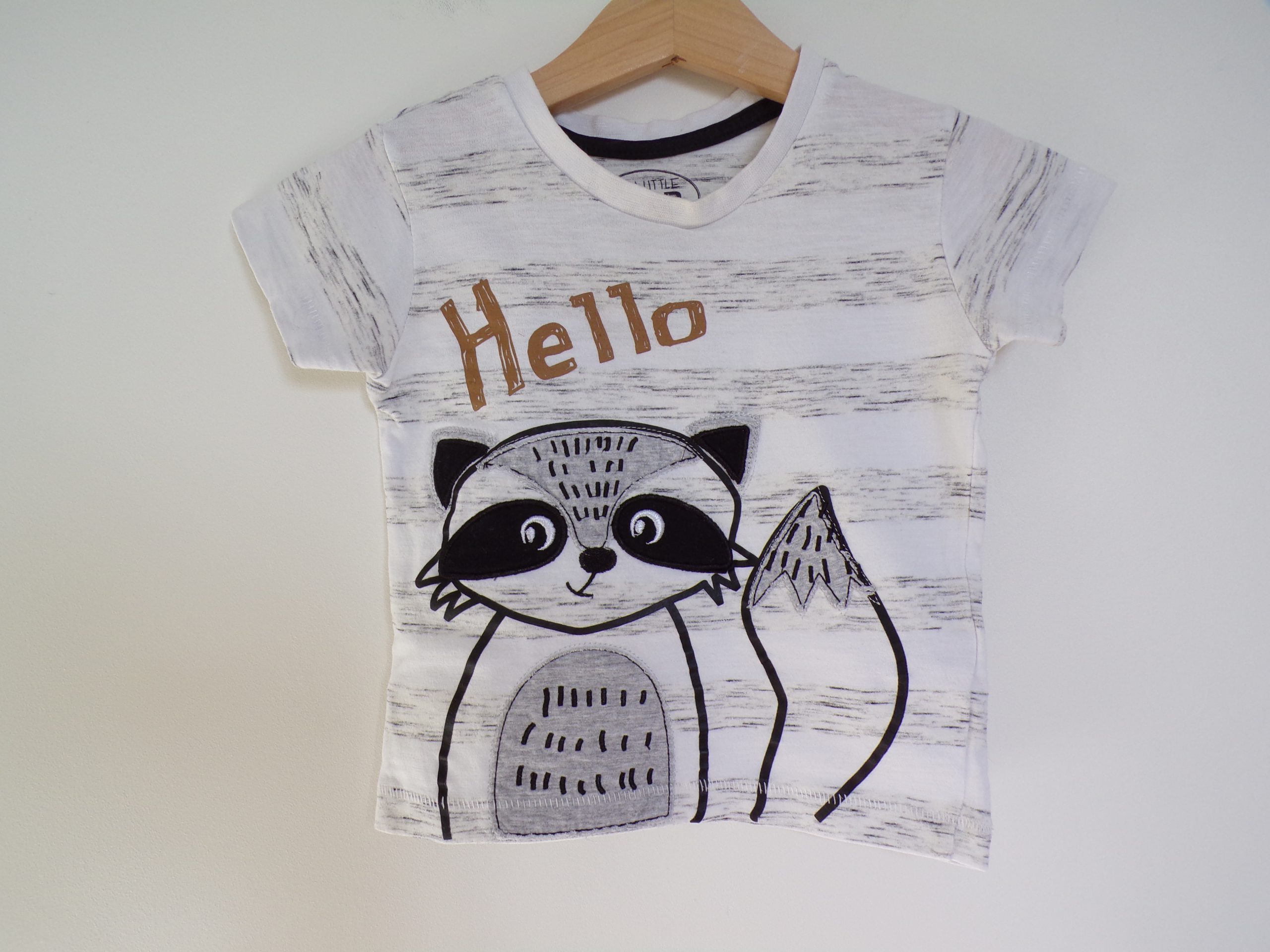 KODAK Digital Still Camera