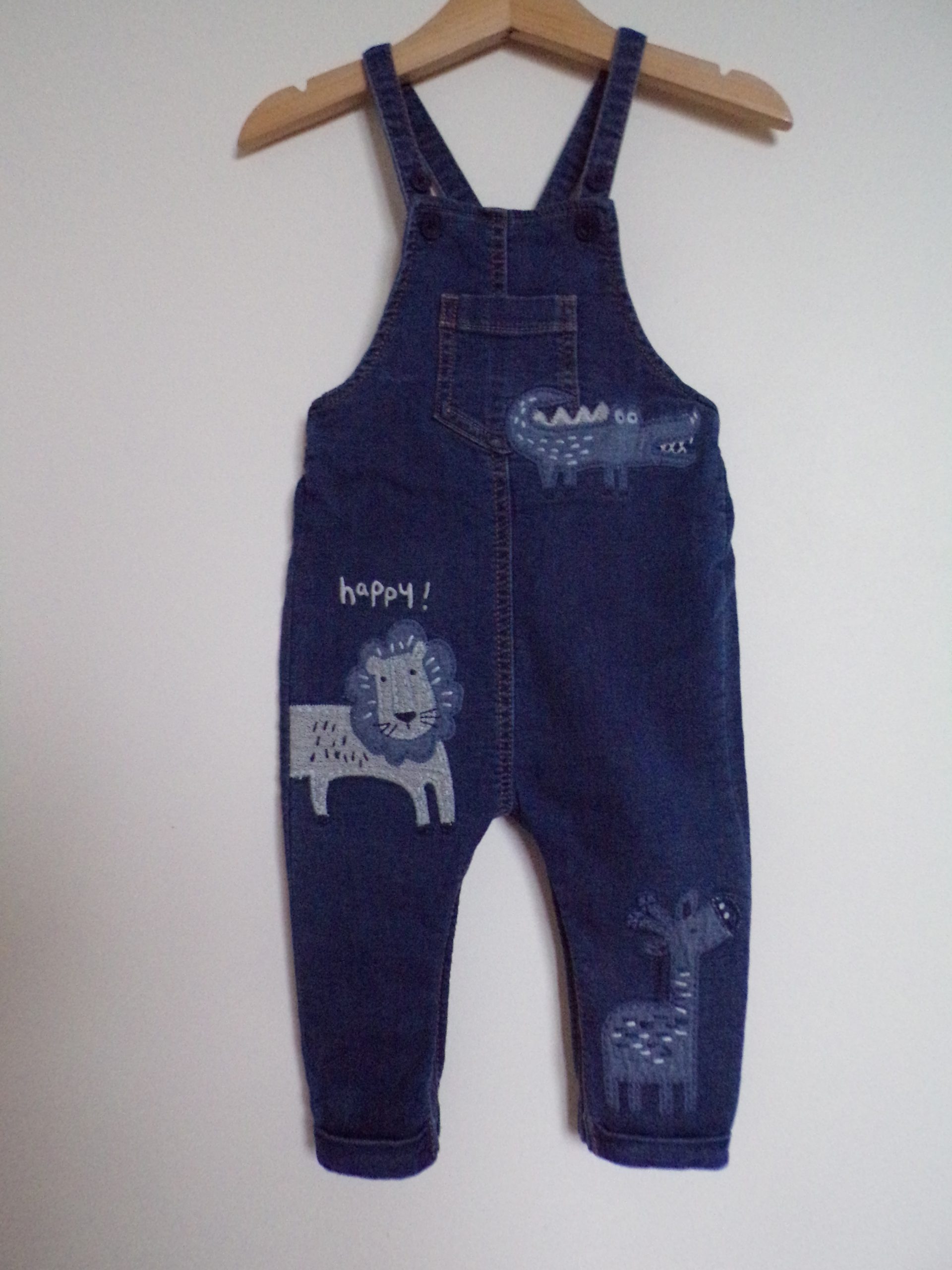 KODAK Digital Still Camera